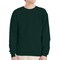 Hanes EcoSmart Unisex Crewneck Sweatshirt P160 Cotton-Poly Blend Fleece for Crafts